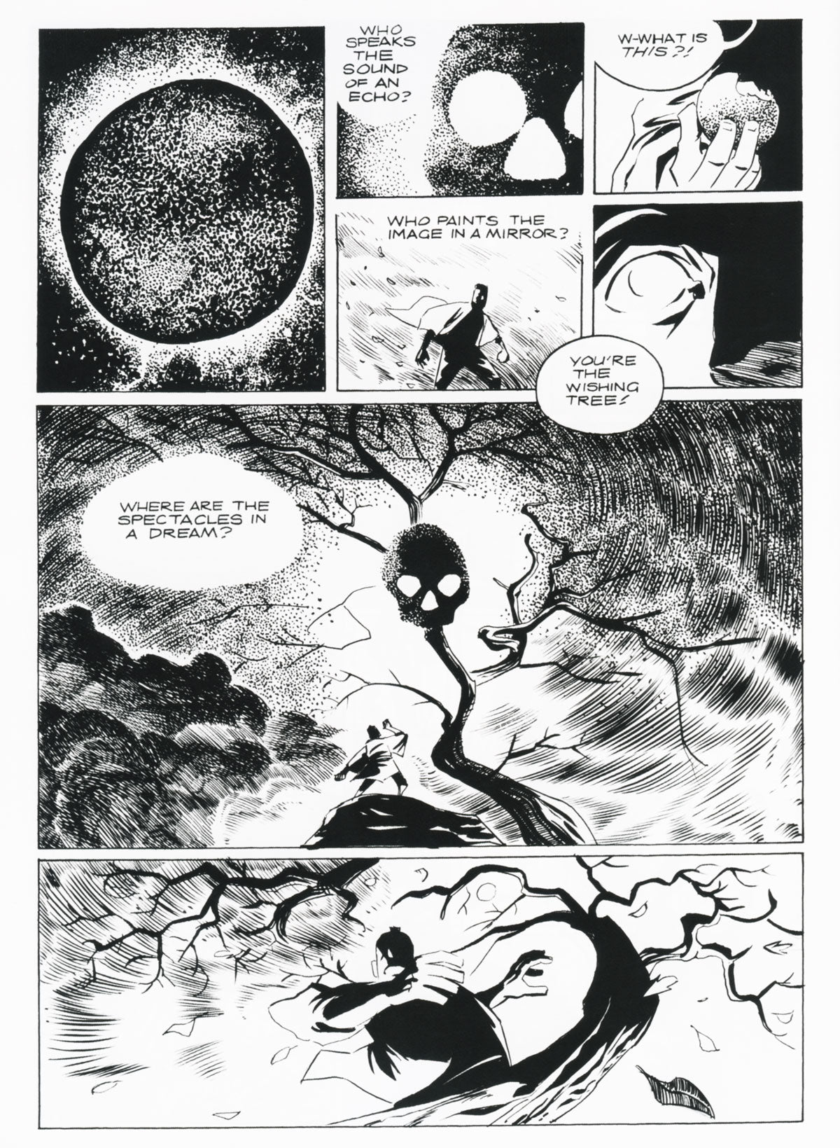 Fool's Wish