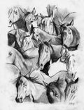 Horses