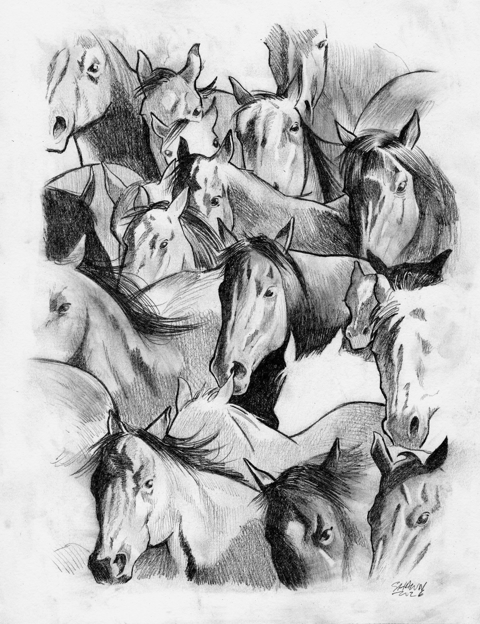 Horses