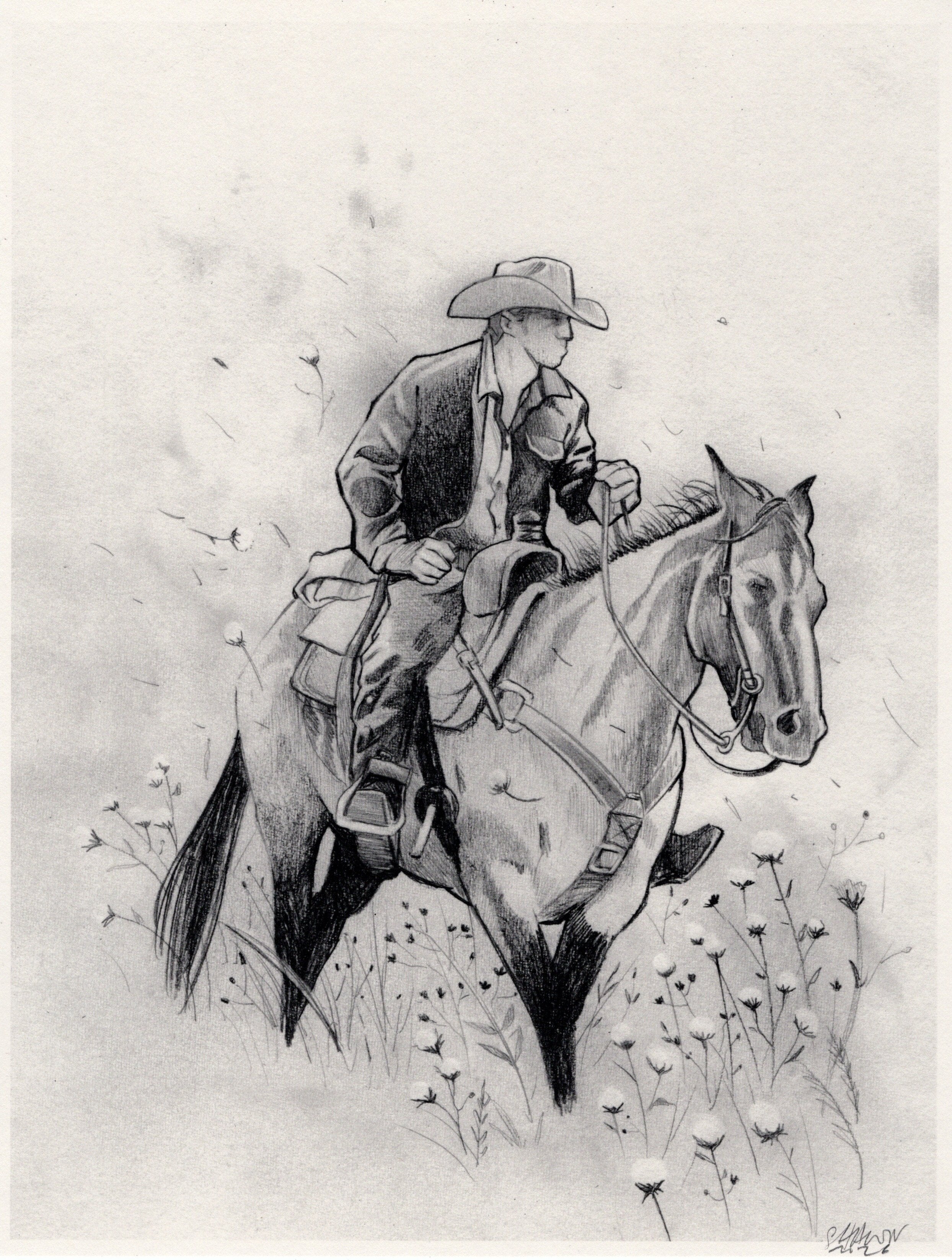 Cowboy in the Field