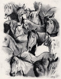 Horses