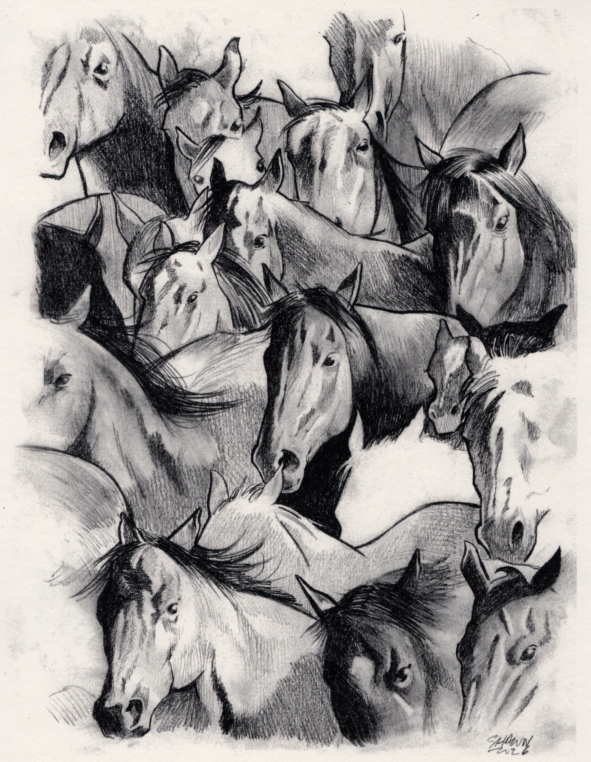 Horses
